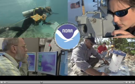 Graohic of NOAA services from Explore NOAA movie on Government Book Talk by GPO