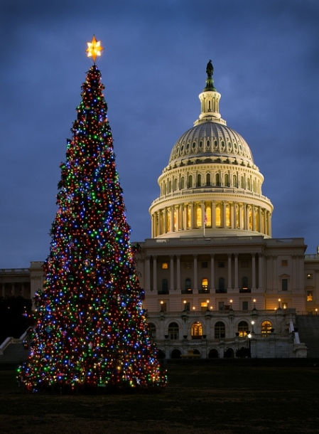2013-Capitol-Xmas-Tree