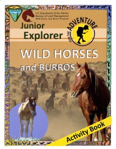 024-011-00200-6_junior-explorer-wild-horses028